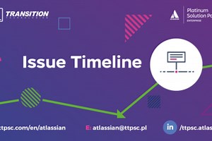 Issue Timeline