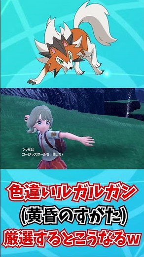 【ポケモンSV】ルガルガン黄昏のすがたの色違い厳選したらこうなりますｗｗｗｗｗｗ【ポケモンバイオレットスカーレット】