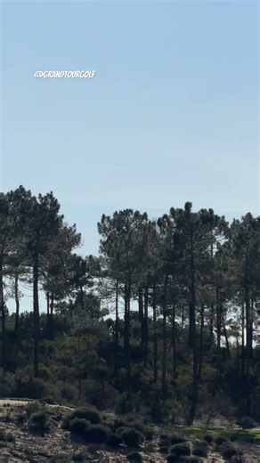 PORTUGALS BEST GOLF COURSE @VanguardPropertiesPortugal #golf #golfshot #golfcourse #shorts #fyp