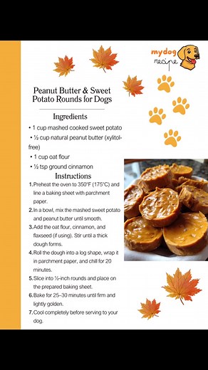 19K views · 132 reactions | Homemade Dog Food Recipes on Reels | Facebook