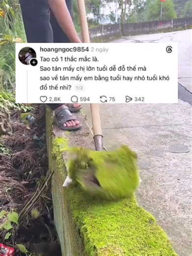 #thread #comment #viralvideo