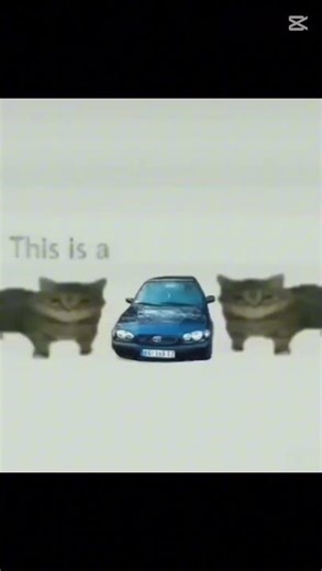 Wtf