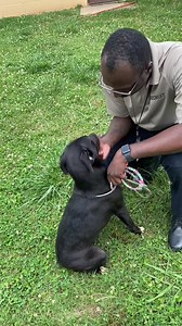 9.7K views · 2.7K reactions | ADALEE - ID#A018668 My name is ADALEE....