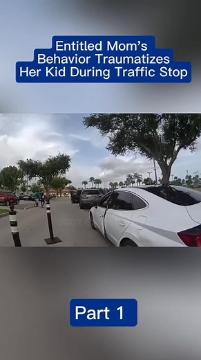 52K views · 777 reactions | Entitled Mom's Behavior Traumatizes Her Kid During Traffic Stop | Net Not | Facebook