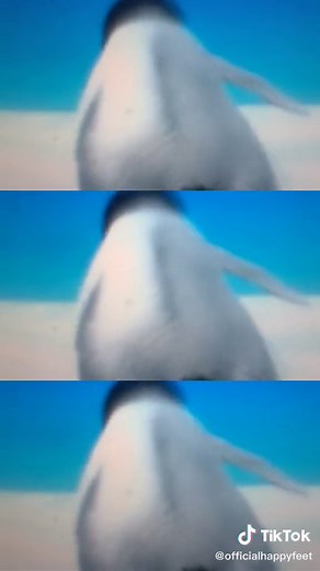 #funfact mumbled shows his love through ✨dance✨ #happyfeet #mumble #fyp #foryou #alttiktok #deeptiktok #penguin #movie #WorldOceansDay