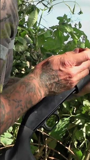 Dan Thor decoys pigeons with a Hushpower .410 #pigeonshooting