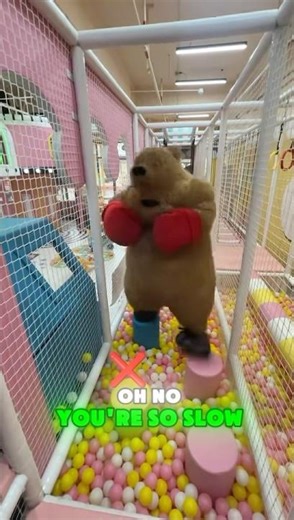 💪🏆🔥 Can You Complete This Challenge?#funny