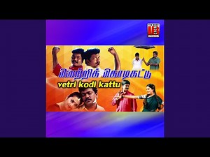 Karupputhan Enakku Pidicha