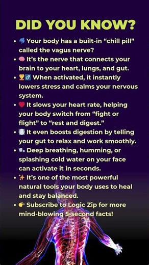 💊Your Body's 'Chill Pill' (And How to Activate It)!😲