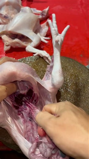 The correct way to gut a chicken #shortvideo #chicken