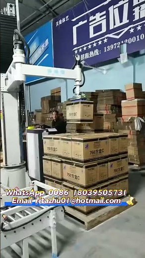 Dual-Pallet Stacking : A Complete Guide #robot #machine #palletizer