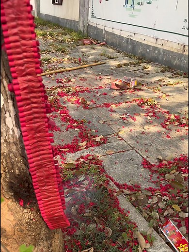 276K views · 2.3K reactions | Cracker Vs Tree #crackers #fireworks #fireworkshow #fireworksdisplay #firecrackers #Diwali #diwali2024 #experiment #usareels #usa | Fireworks Videos | Facebook