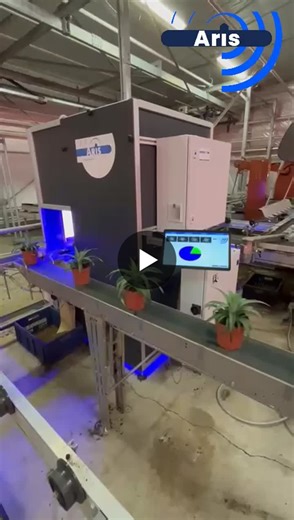#aris #visiontechnology #automation #horticulture #plantsorting | Aris bv