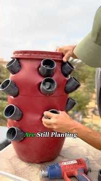 This Farmer Turned a Plastic Barrel Into a Strawberry Farm #shorts