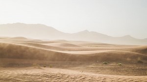 How the Sahara Desert is turning into a farmland oasis