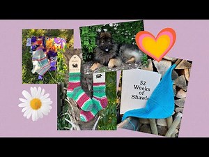 Aargauer Stricklisel 68: Ich stricke einen Schritt vorwärts und 2 Schritte rückwärts