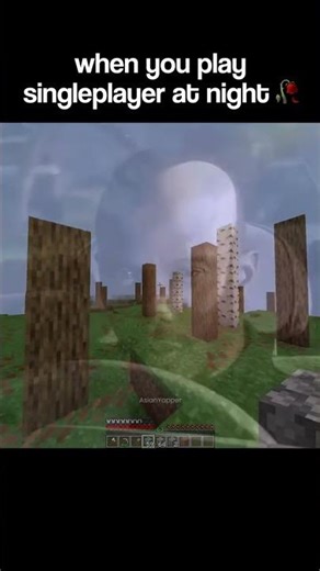 Minecraft Singleplayer Moment