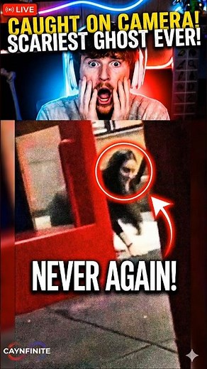 Did It Just Say "Right Behind You"?? 😱🛝 #scaryvideo #scary #caylus #infinite #trending #reaction