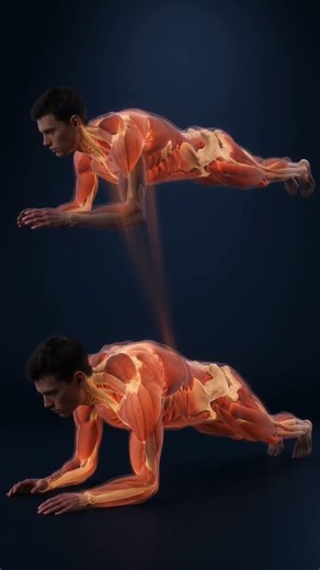 Plank Core Engagement Explained 🧘 #Shorts