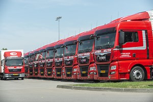 International Truck Driver Job Ad (M/F)