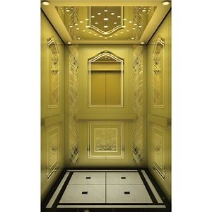 [Hot Item] Customized Home Hotel High Quality Elevator Lift Passenger
