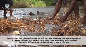 Vuinadi Youths committed to farming The Farm Management training provided by the Ministry of Agriculture back in 2017 led a group of youths to realize the potential of farming as a business. Vuinadi village is one of the 6 villages and 15 settlements that belong to the district of Koroalau and lies along the amazing Natewa Bay in the Province of Cakaudrove in Vanua Levu. The district and Vuinadi village has the capability and potential to produce Dalo and Yaqona for the export market but are con