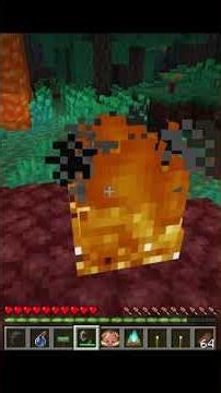 Survive the Nether! 🔥 3 Useful Minecraft Tips 💎