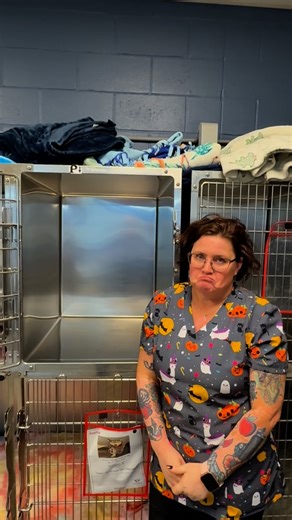 1.7K views · 34 reactions | Please don’t make our vet techs sad… help...