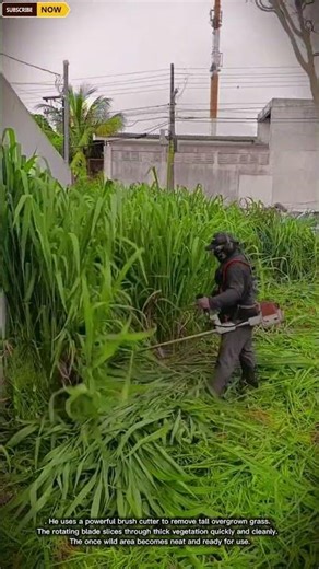 Grass Cutting Process with Brush Cutter | Land Clearing Work