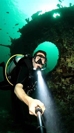 While exploring a shipwreck for treasure, I encountered a massive octopus that was NOT happy about me being in its territory. Things got intense fast when it decided to investigate my camera up close!