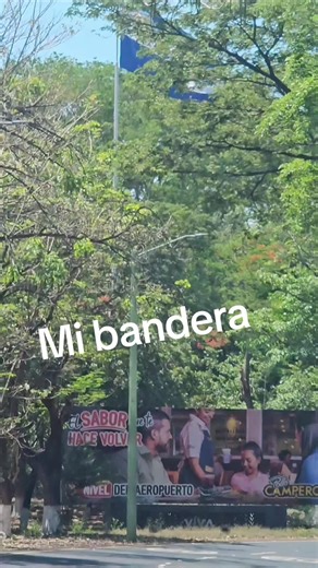 Mi bandera #ES #503 #MIPAIS