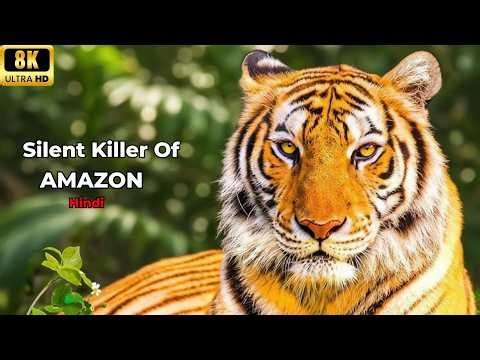 Tiger: Tiger Jungles (Full Episode) | Secrets of Wild India | Wildlife Documentary