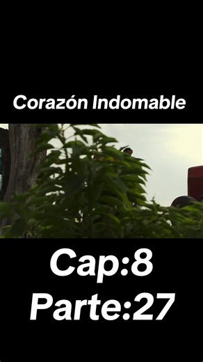 Corazón Indomable: La Búsqueda de Maricruz y Octavio