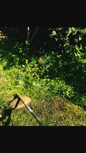 Stihl FS 120 in Action POV Cutting Grass and Weeds #stihl #trimmer #diy #brushcutter #weedeater