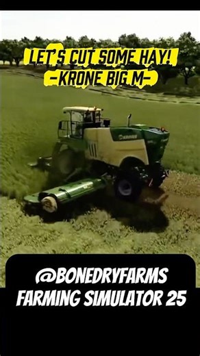 Krone Big M Cuts Hay | FS25 #farmingsimulator25