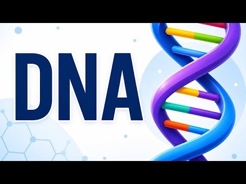 DNA: The Secret Code Inside You