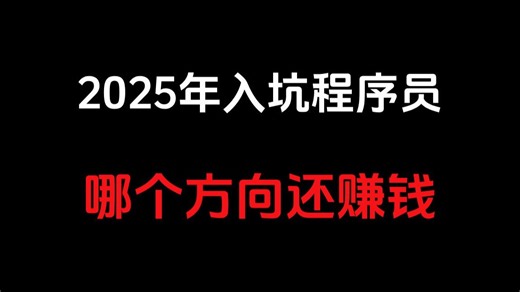 2025普通人入坑程序员选哪个IT方向（Java/C/C  /Python/AI大模型）最赚钱？