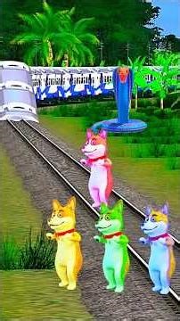 Dog Dance vs train funny short video 🐶😂#shortsfeed #train #tending