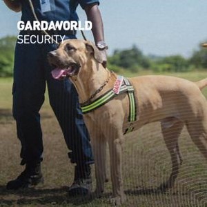 Trust our K9 services for superior security solutions. With highly trained dogs and expert handlers, we deliver thorough and reliable protection for your facilities. Contact us at secure.solutions@garda.com to get started today. | GardaWorld Africa