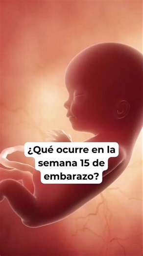 🤔 ¿Qué ocurre en la semana 15 de embarazo? 🤰 Síntomas y desarrollo del bebé #embarazosemanaasemana #embarazo #embarazosaludable #embarazofeliz | Blog del bebé