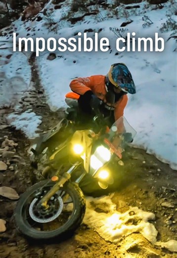 Exploring the Untamed Woods of Ruby Valley