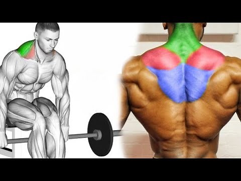 Exercícios Eficazes Para Construir Trapézio Maiores