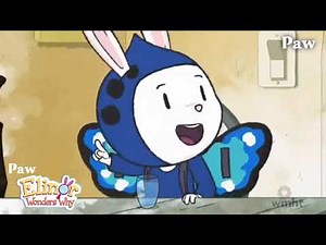 Paw Elinor Wonders Why: How do butterflies drink?