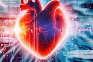 Heart Attack Prediction using EDA   8 Models