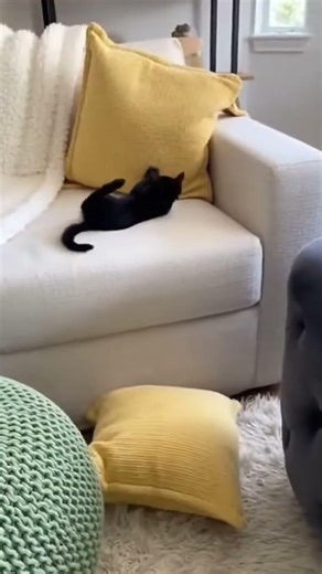 A simple interaction brings profound peace