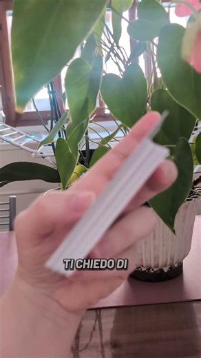 Blank cards