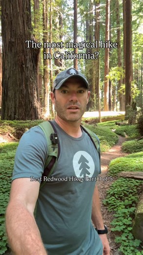 4.9K views · 2.6K reactions | Giant redwood + a hidden albino? ...