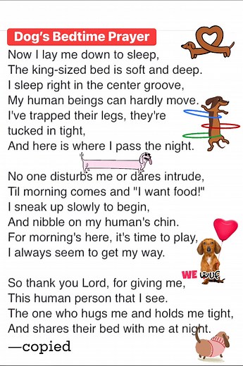 Taken with a grain of salt, of course | Mavis Duke Hinton's Books: Dachshund Books for Dog Lovers