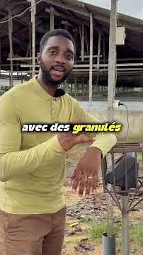 How to fatten a pig FAST