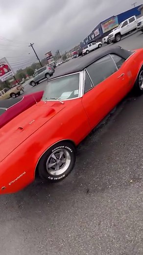 187K views · 4.4K reactions | Classic Muscle Cars Inventory Walk Around Maplemotors.com 11/2/23 #hotrods #forsale #classic #musclecars #cars #ford #mopar #sportscars #dealer #rides #forsale | Maple Motors | Facebook